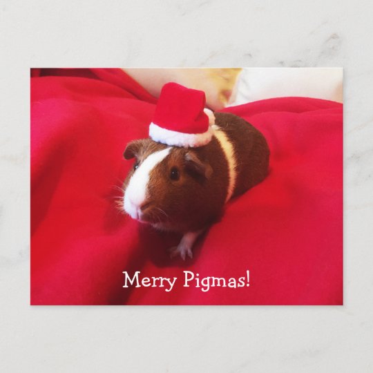 Santa Claus Guinea Pig Christmas Stocking Shoulder Bag - Reusable Cotton Tote Bag