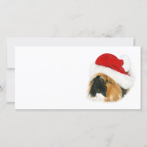 Guinea pig Santa Holiday Card