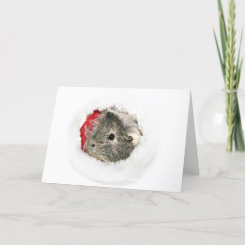 Guinea Pig Santa Holiday Card