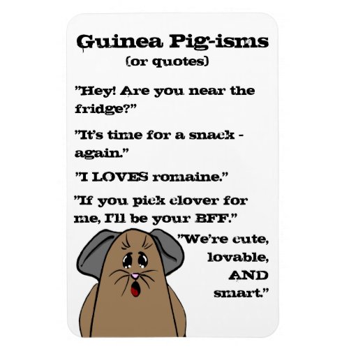 Guinea Pig Sayings Magnet
