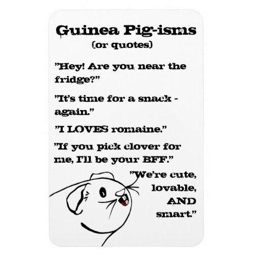 Guinea Pig Sayings Magnet