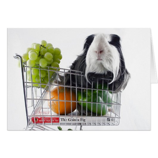 Guinea pig shopping spree cards (Front Horizontal)