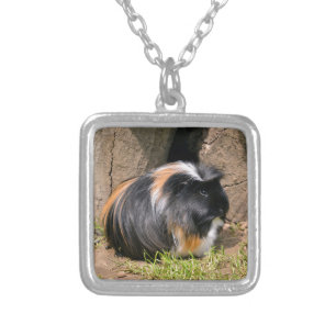 Guinea pig silver plated necklace