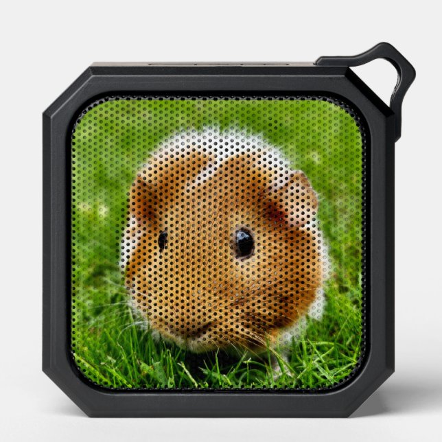 guinea pig speaker (Front)
