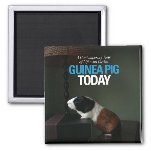 Guinea Pig Today Photo Magnet