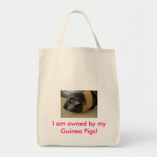 Guinea pig tote