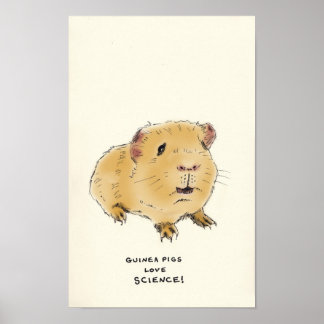 guinea pig trivia poster