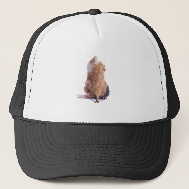 guinea pig, trucker hat (Front)