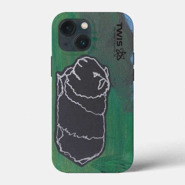 Guinea Pig TWIS iPhone Case (Back)