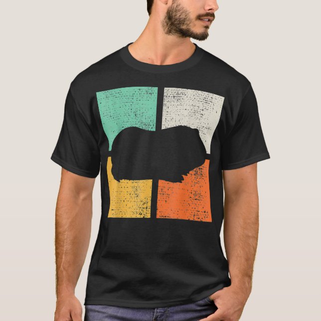 Guinea Pig Vintage _3  T-Shirt (Front)