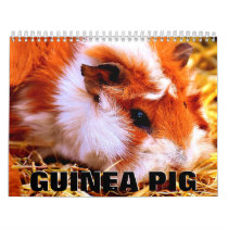 Guinea Pig Wall Calendar