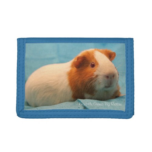 Guinea Pig Wallet