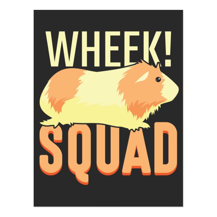 why do guinea pigs wheek