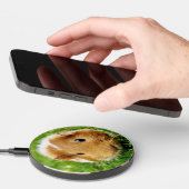 Guinea Pig wireless charger (Hand)