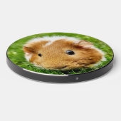 Guinea Pig wireless charger (Front 2)
