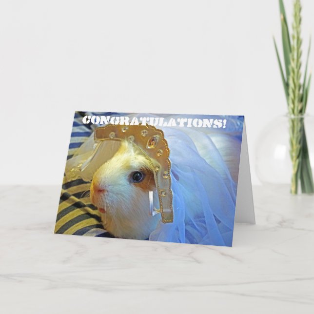 guinea pig with a veil card (Front)