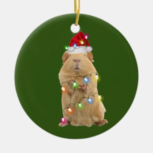 Guinea Pig With Hat Lights Christmas Ceramic Ornament
