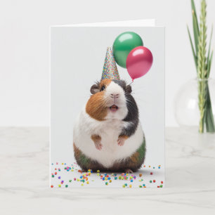 Guinea pig with Party Hat Greeting Card