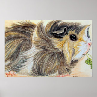 Guinea Pig With Sprig Poster