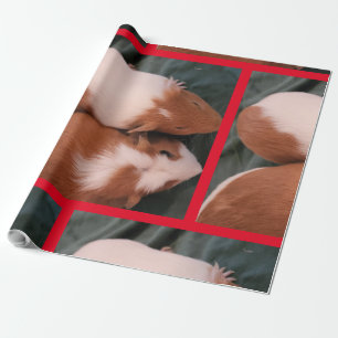 guinea pig wrapping paper