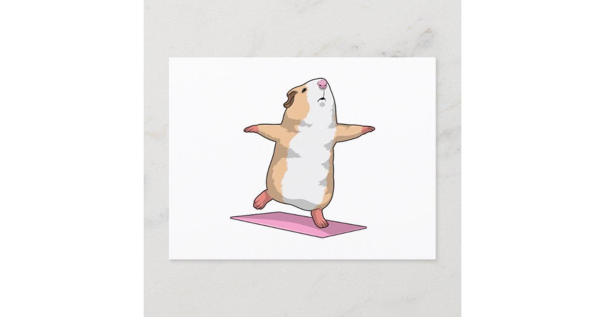 Guinea pig Yoga Meditation Fitness Postcard Zazzle