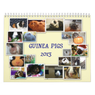 Guinea Pigs 2013 Calendar