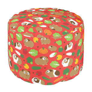 Guinea Pigs And Their Treats Pouf