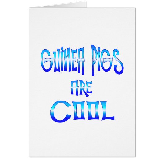 Guinea Pigs are Cool Cards (Front)