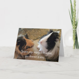 Guinea Pigs Birthday Card