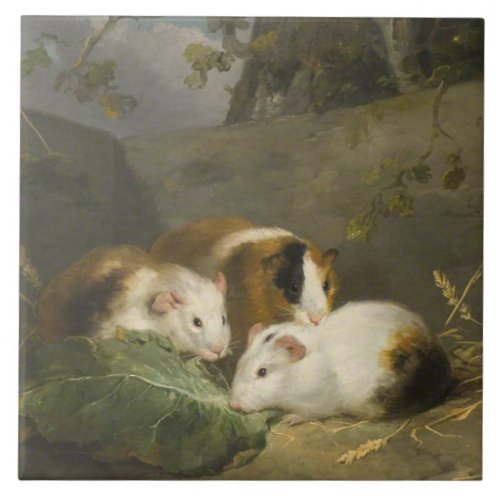 Guinea Pigs by George Morland Ceramic Tile