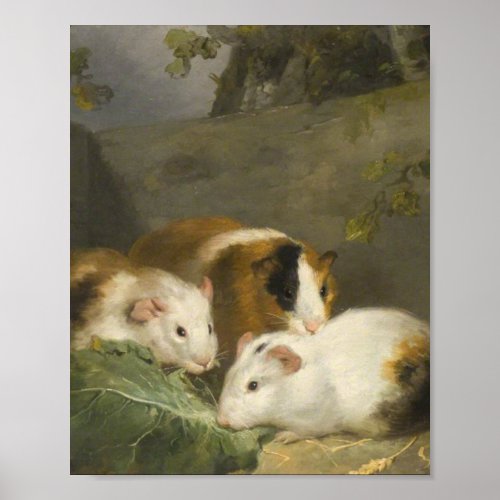 Guinea Pigs By George Morland Poster