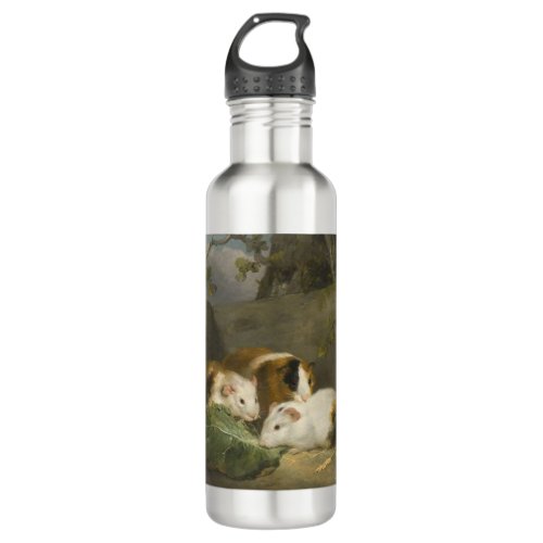 Guinea Pigs by George Morland Stainless Steel Water Bottle