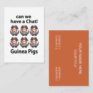 Guinea Pigs Can We Have A Chat Funny Guinea Pigs