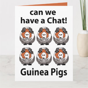 Guinea Pigs Can We Have A Chat Funny Guinea Pigs Card