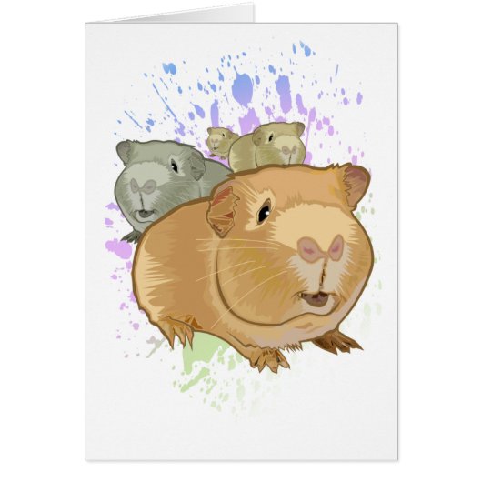 Guinea Pigs Cards (Front)