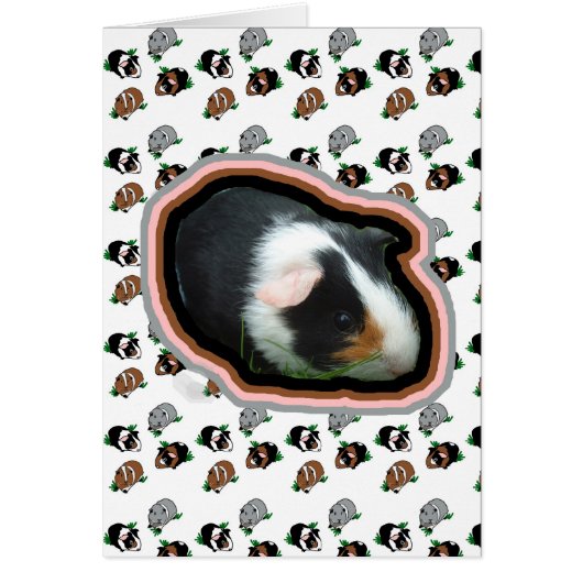 Guinea Pigs Cards (Front)
