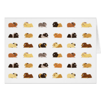 Guinea pigs cards