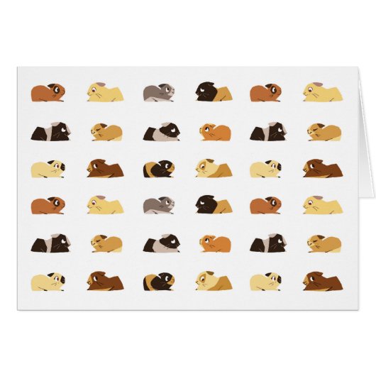 Guinea pigs cards (Front Horizontal)