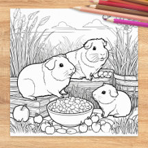 Guinea Pigs Cute Pet Animals Coloring