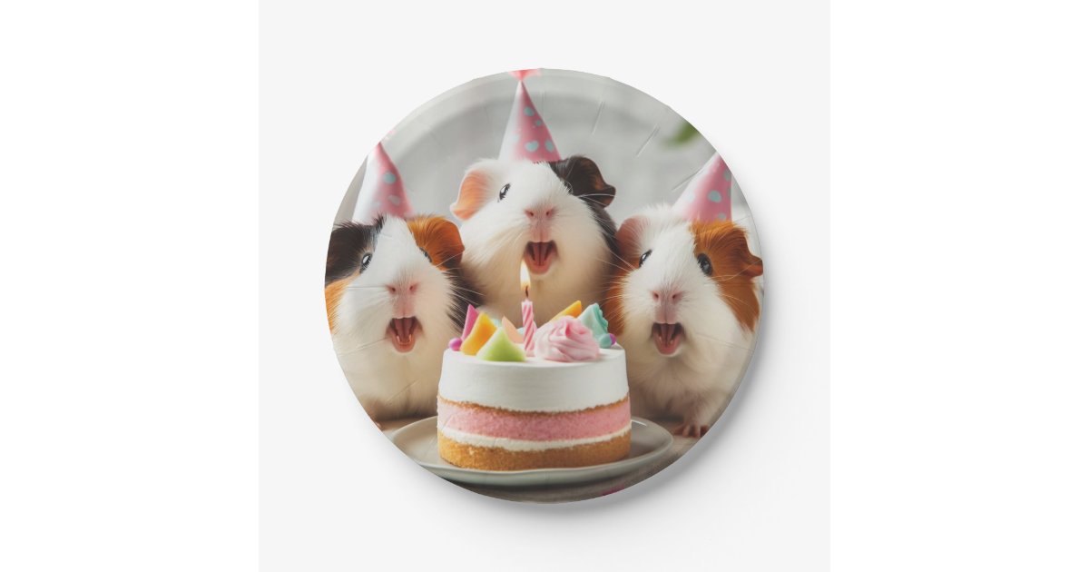Guinea pigs eating cake, guinea pig birthday plate | Zazzle - Guinea Pig Sweets Eaten Thousand Threw Bake