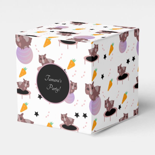 Guinea Pigs Fitness Gym Favor Boxes (Front Side)