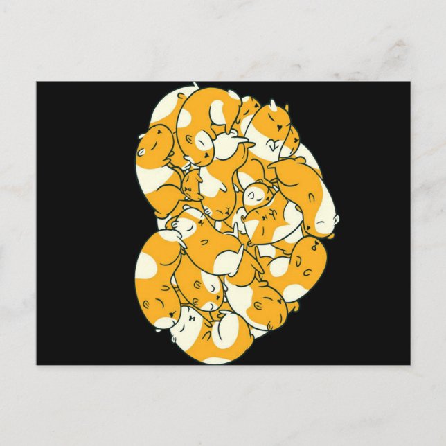 Guinea Pigs Heart Gift Announcement Postcard (Front)