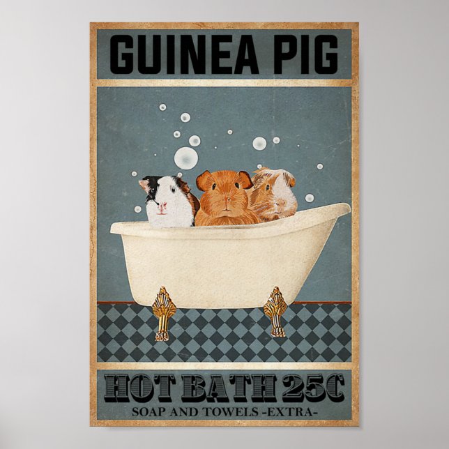 Guinea Pigs Hot Bath 25C Poster (Front)