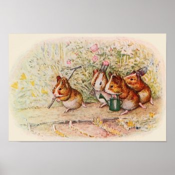 Guinea Pigs In The Garden Poster by kidslife at Zazzle
