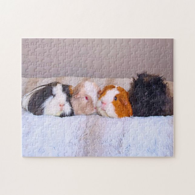 Guinea Pigs  Jigsaw Puzzle (Horizontal)