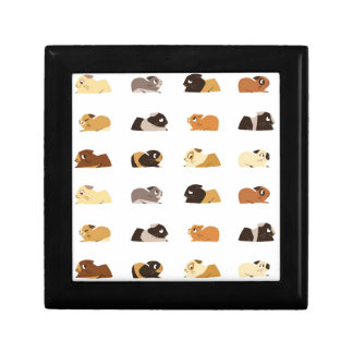 Guinea pigs keepsake box
