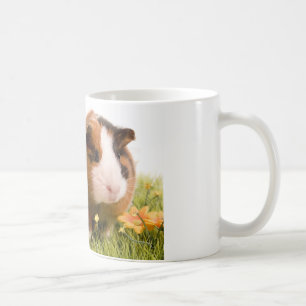 guinea pigs on a lawn coffee mug