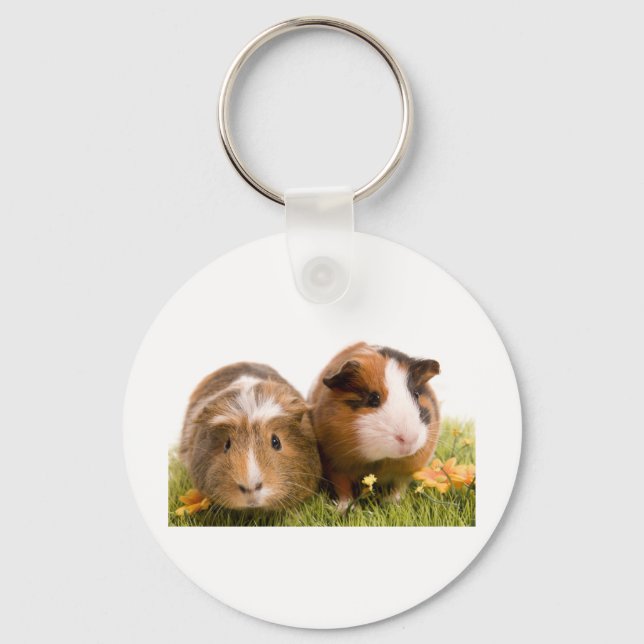 guinea pigs on a lawn keychain (Front)