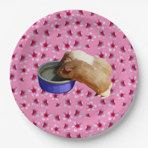 Guinea Pigs On Pink Blossoms   Paper Plates