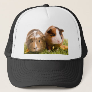 guinea pigs one has lawn trucker hat